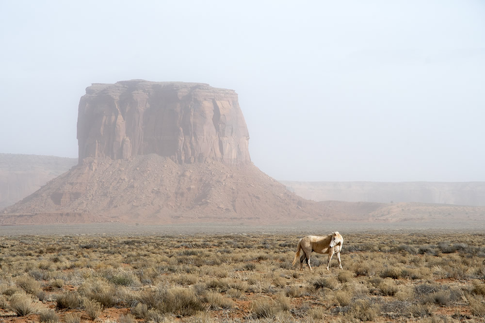 Navaho’nun Hüzünlü Tarihi 9g