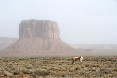 Navaho’nun Hüzünlü Tarihi 9g1