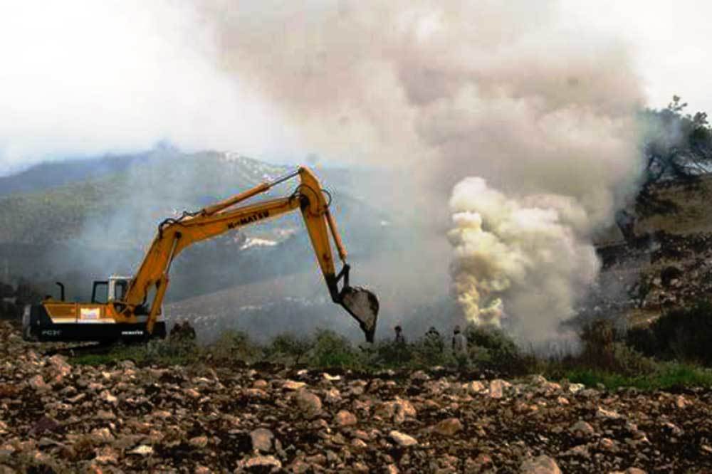 80 Bin Zeytin Ağacına Kıydılar