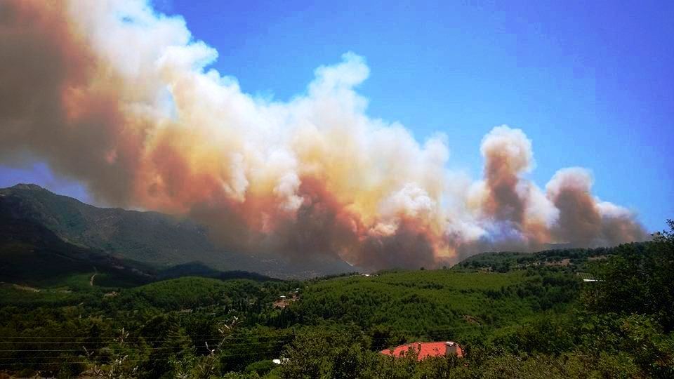 Antalya’daki Acı Gerçek