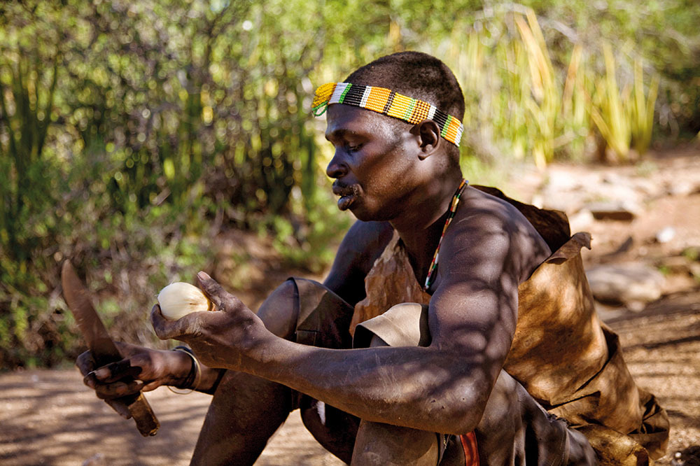 Bakterilerimizi Kaybediyoruz