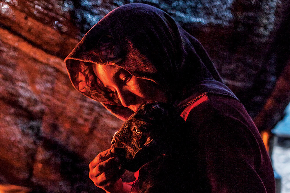 Bilim Keçilerin Dostluğunu Fark Etti