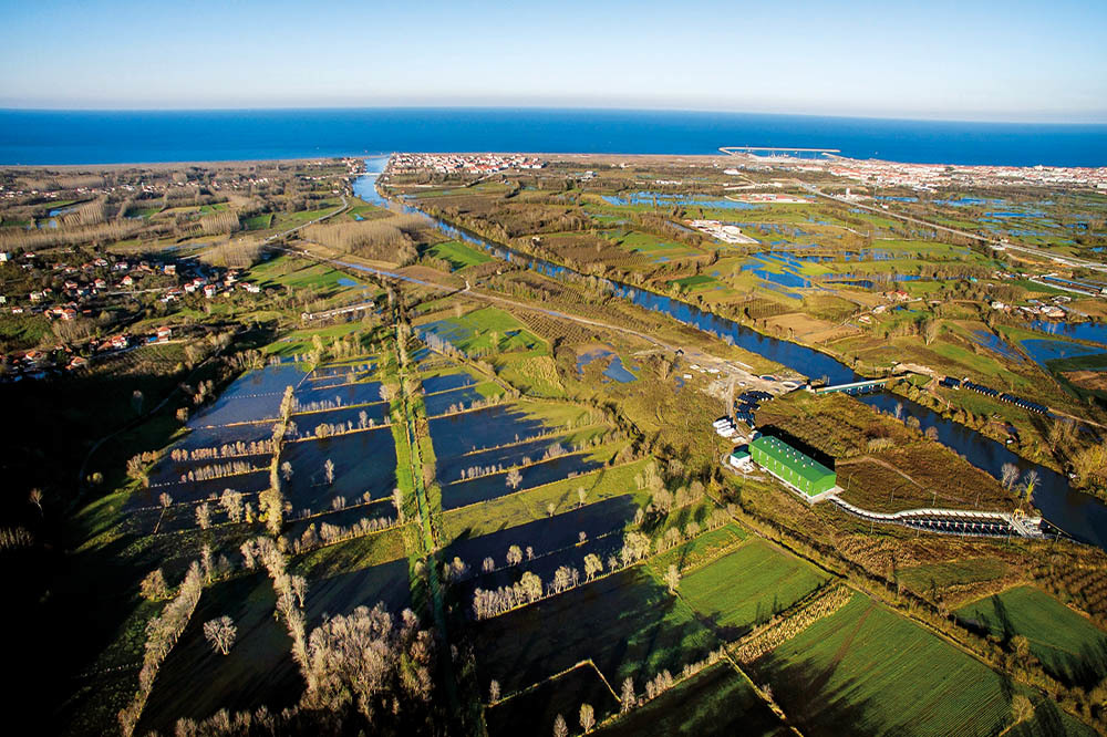 Bir Nehir Direniyor: Sakarya