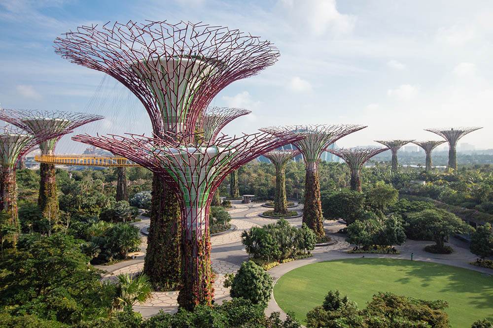 Biyomimetik: Akıl Hocamız Doğa