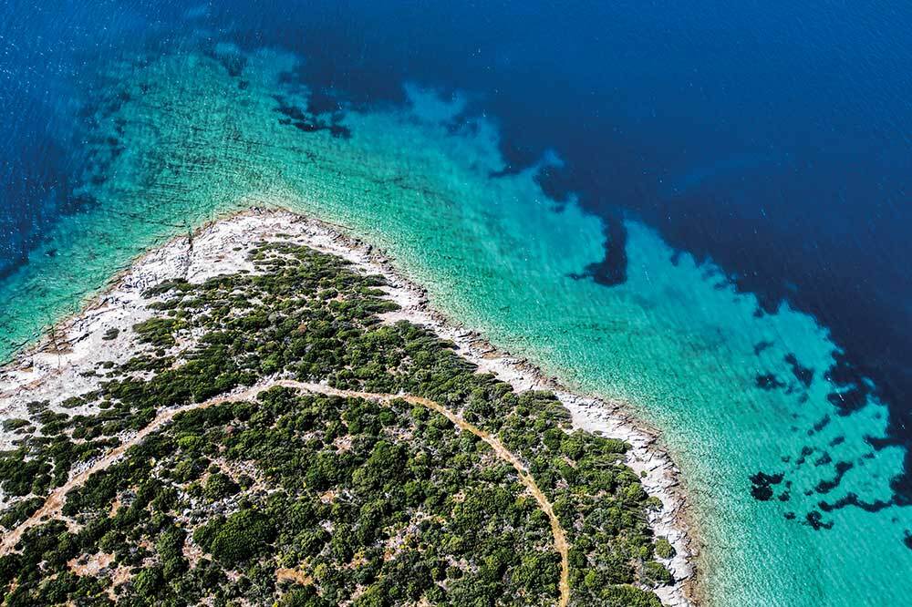 Çayır Yoksa Deniz Yok