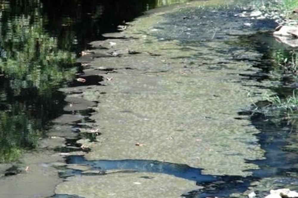 Dilovası'na Kimyasal Atık 