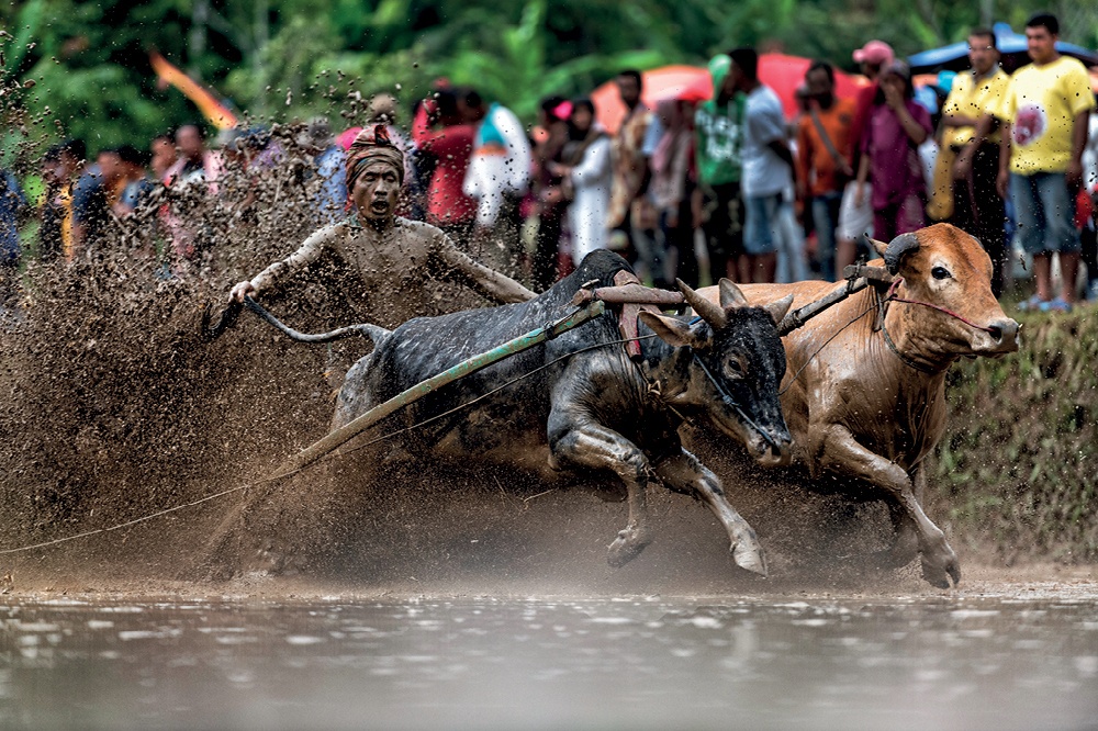 Endonezya, Doğaya Minnet