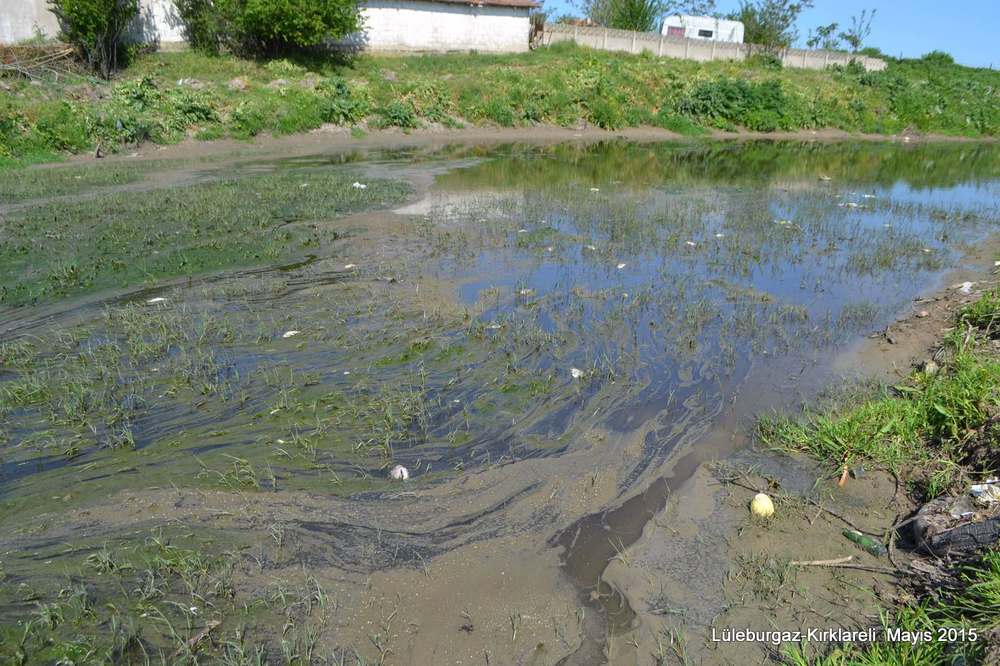 Ergene’nin Kolları da Kirlendi