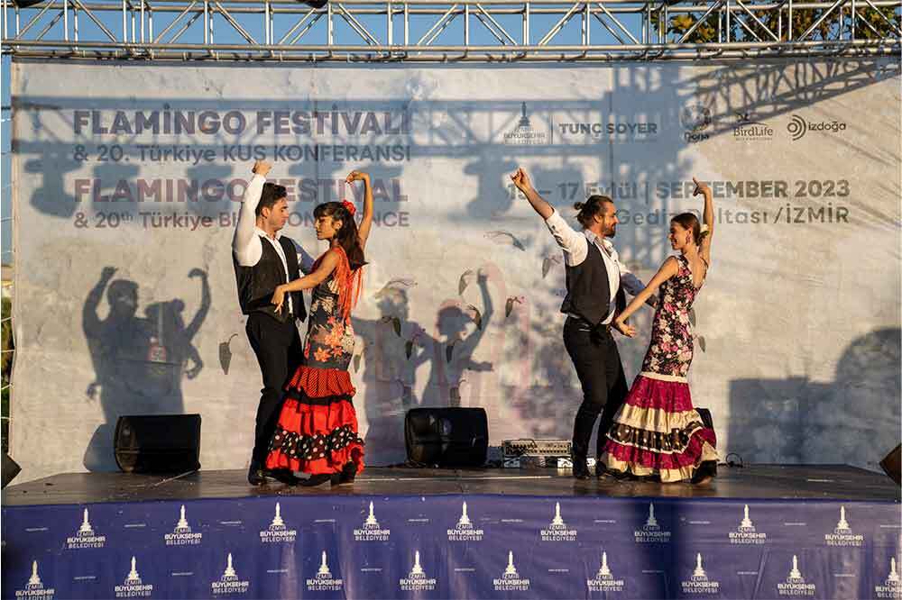 Flamingo Festivali'nin Ardından