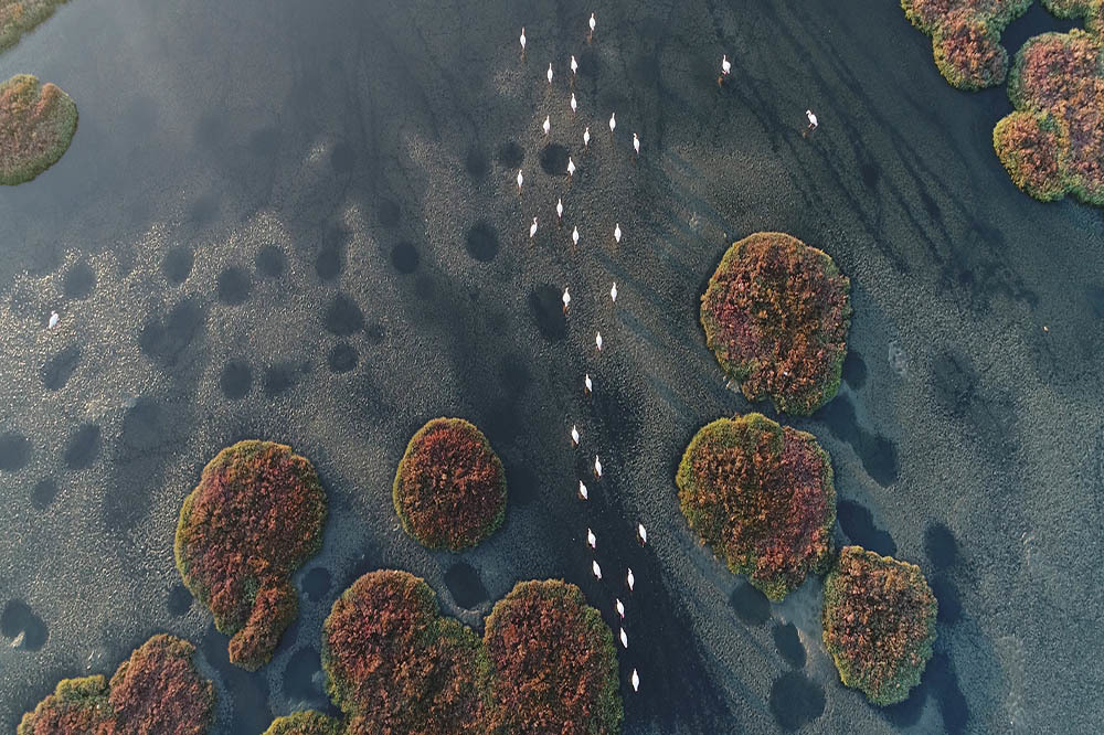 Gediz Deltası İçin İmza Kampanyası