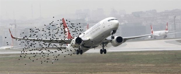 Göç Yolları Değiştirilemez