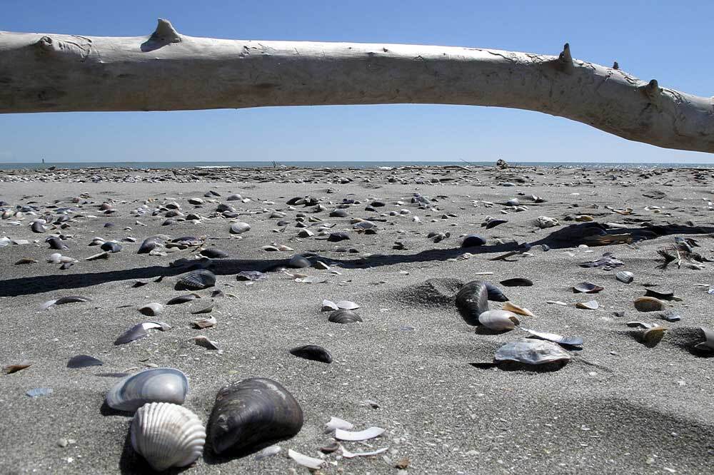 İklim Krizine Direnenler