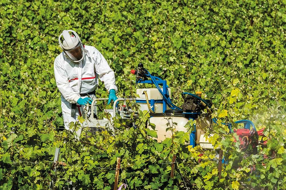 İnsan Çağında Böcekler