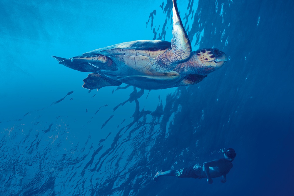 Isınan Dünyanın Geleceği