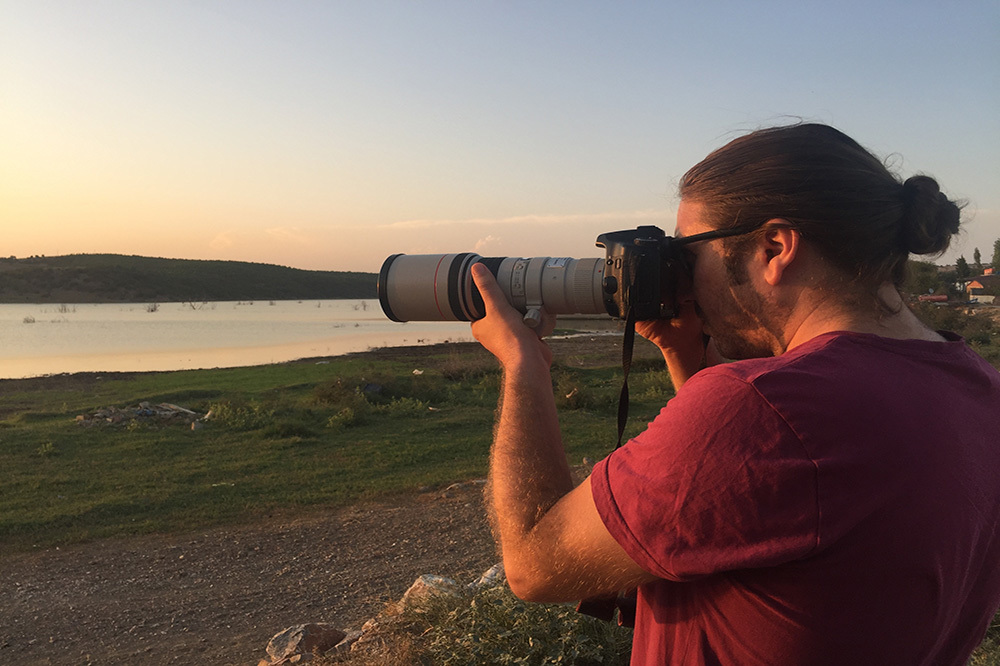 İstanbul’un Kuşları Tehlikede!