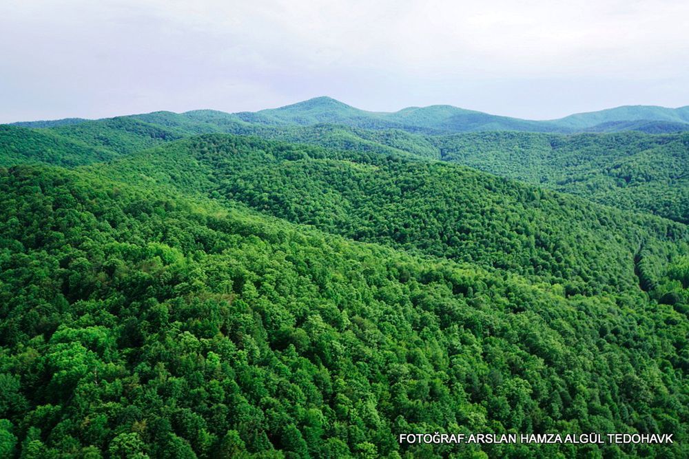 Istrancaların Kalbine 91 Hançer