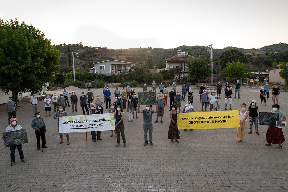 İzmir’in Zeytin Ormanları Tehdit Altında
