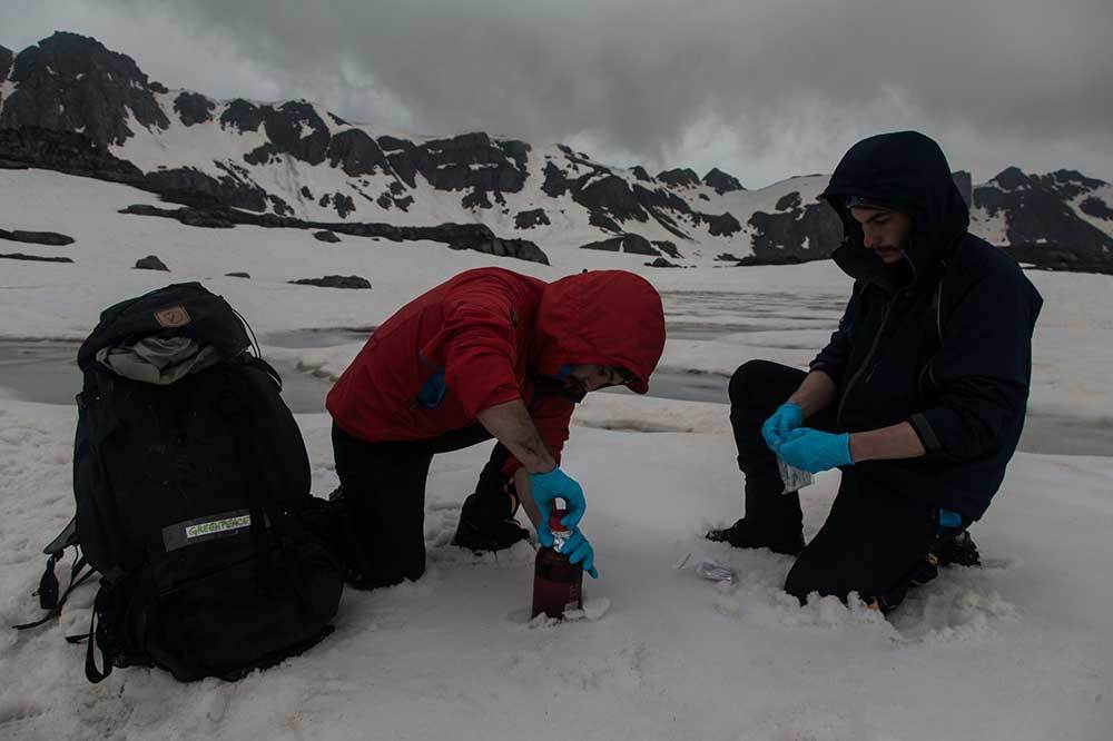 Kaçkarlarda Kimyasal Tespit Edildi