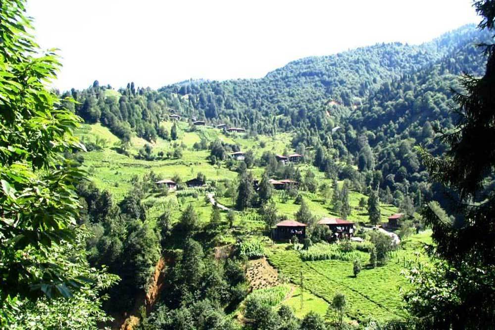 Kemal Sunal’ın Filmi Rize’de Gerçek Oldu