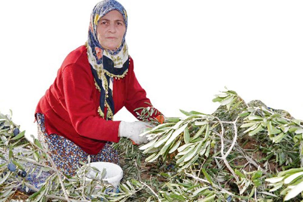 Kolin Termik Santralı’na Geç Gelen İptal