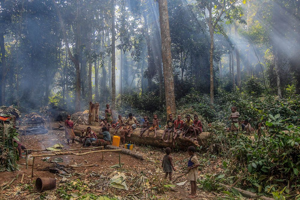 Kongo/BaYaka Halkı: Ormanın Özgür İnsanları