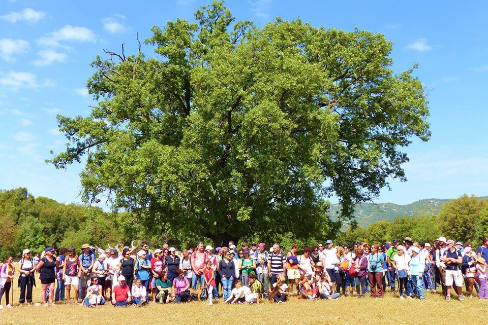 Kültür Mirası Üzerine Havaalanı Projesi