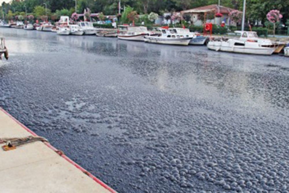 Kurbağalıdere'deki Kabarcıkların Sebebi