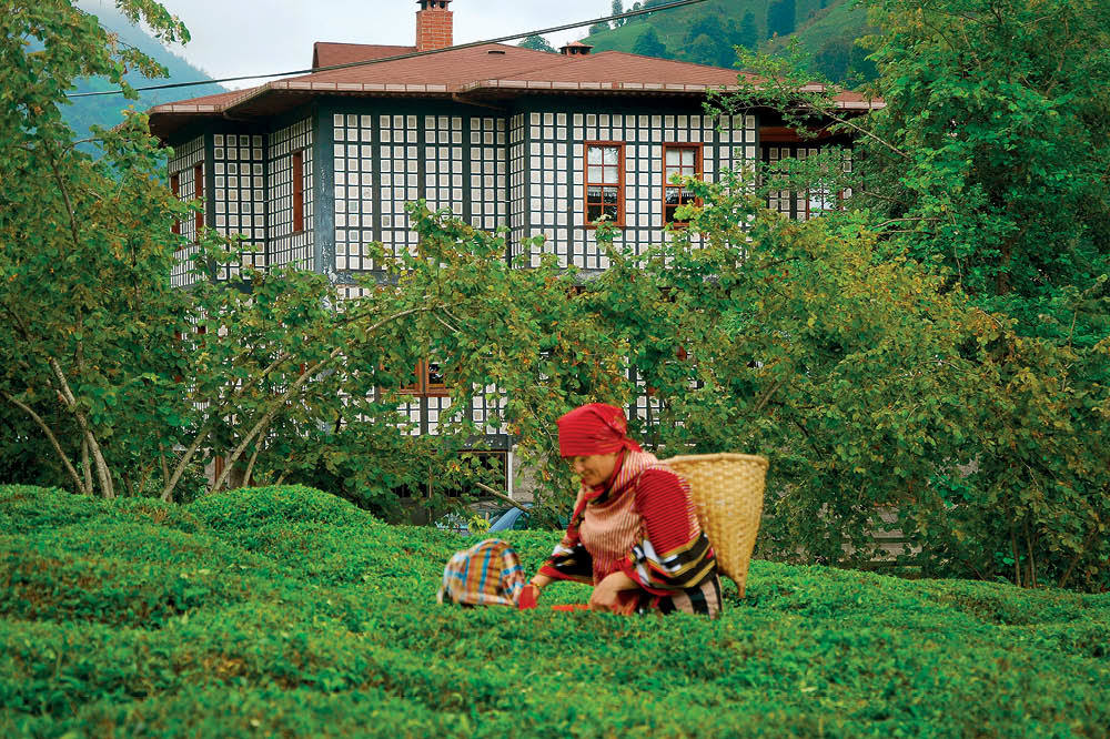 Laz Konakları, Ahşap ve Taşın Uyumu