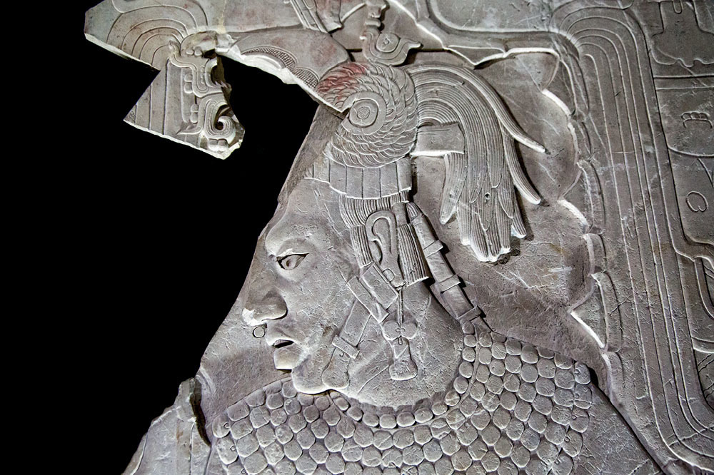 Maya Evreni: Ormandaki Zaman Yolculuğu