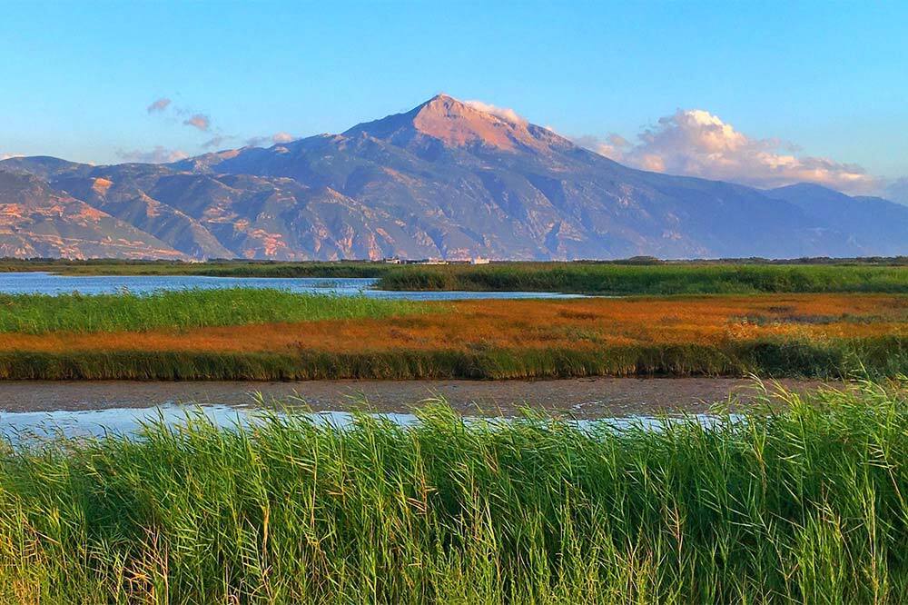 Milleyha’da Doğa Buluşması