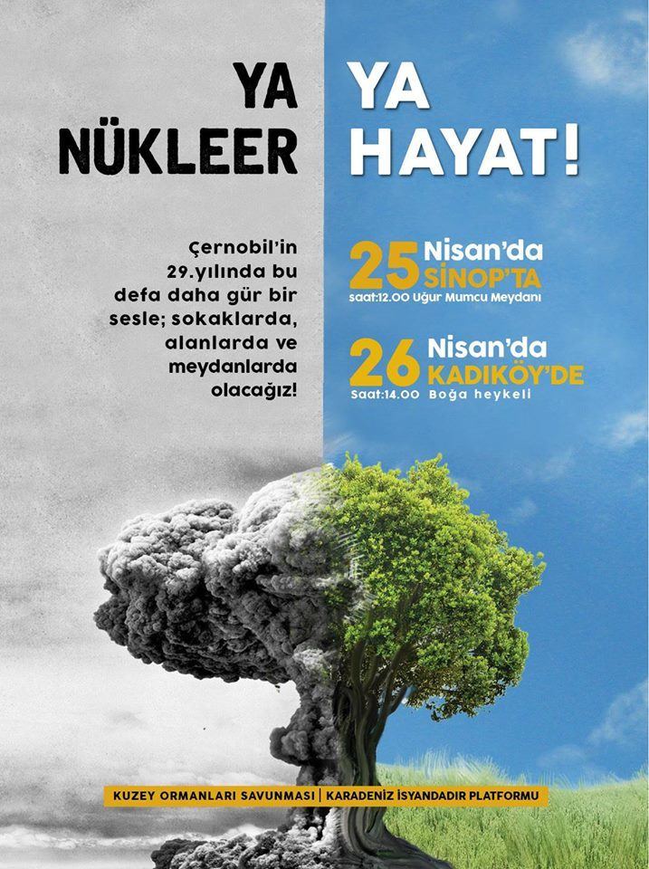 Nükleere Karşı 25 Nisan Sinop, 26 Nisan Kadıköy!