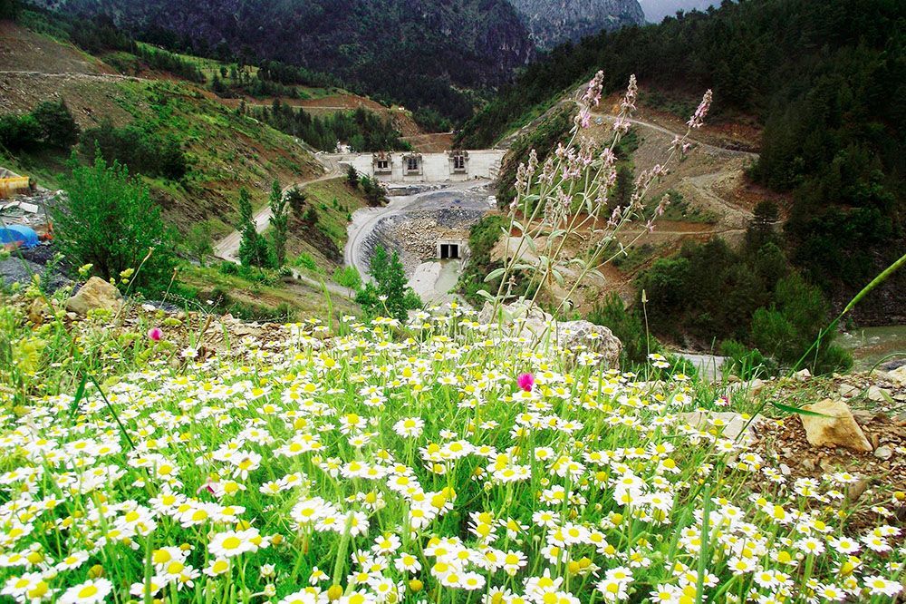 Otla Çeliğin Savaşı