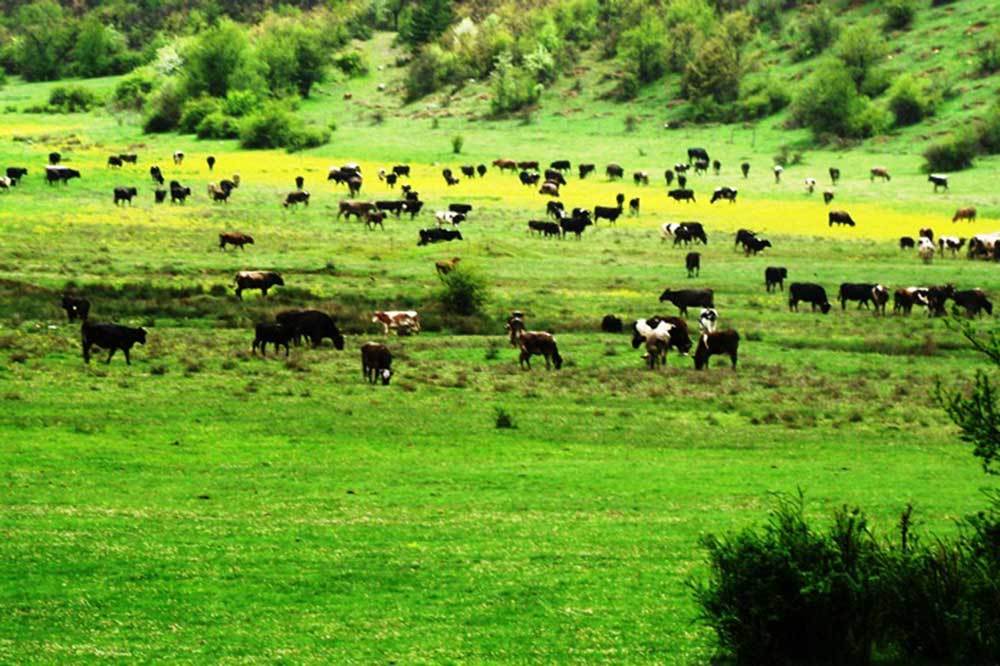 Otun Parasını Veren Meraya Apartman Dikecek