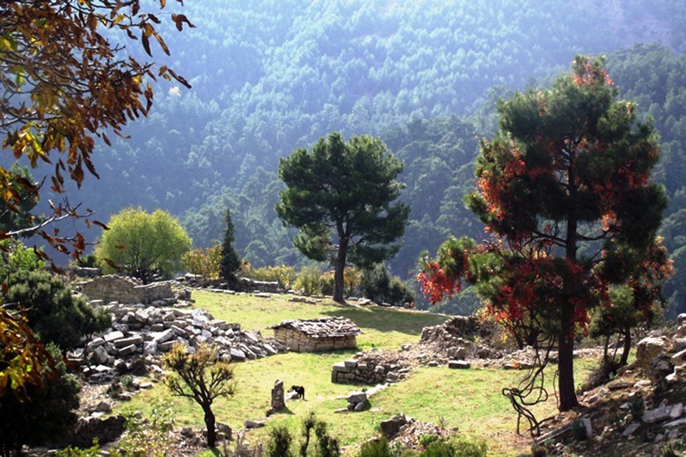 Taşa Yazılan Şiir Selge