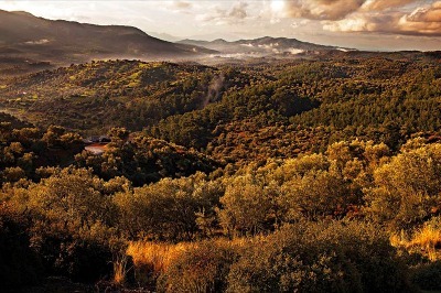 Akdeniz Makilikleri