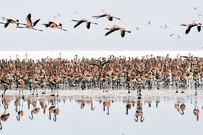 Anadolu'ya Ağıt Cüneyt Oğuztüzün