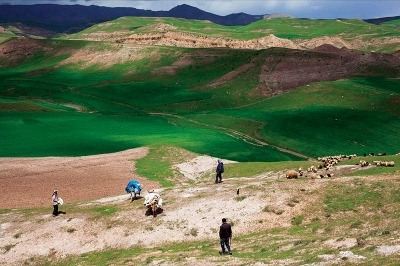 Arınç Köyü'nün Çobanları