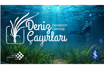 Deniz Çayırları: Karbon Emici Sessiz Devler