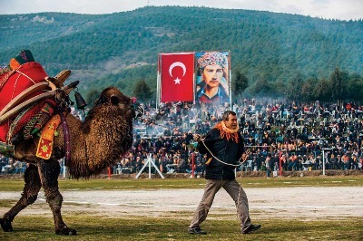 Deve Güreşi İnat ve Sabrın Sınavı