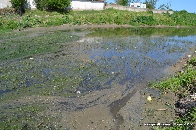 Ergene’nin Kolları da Kirlendi