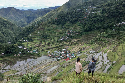 Filipinler: Pirinç Ülke