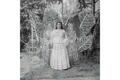 Işığın ve Toprağın Hikâye Anlatıcıları