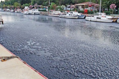 Kurbağalıdere'deki Kabarcıkların Sebebi