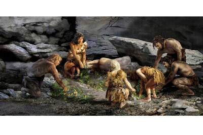 Kuzey Irak’taki Neandertal
