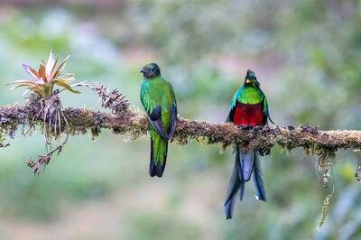 Sorumlu Kurumlar Rehberi