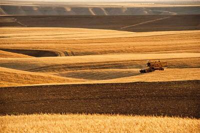 Tarımda 2025 Raporu: Üretim Bir Önceki Yıla Göre Azaldı