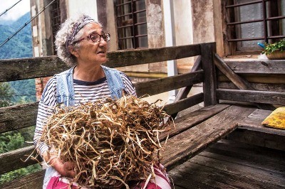 Yeşil Yol Cerattepe ve Üç Kadın: Gönül, Rabia, Neşe