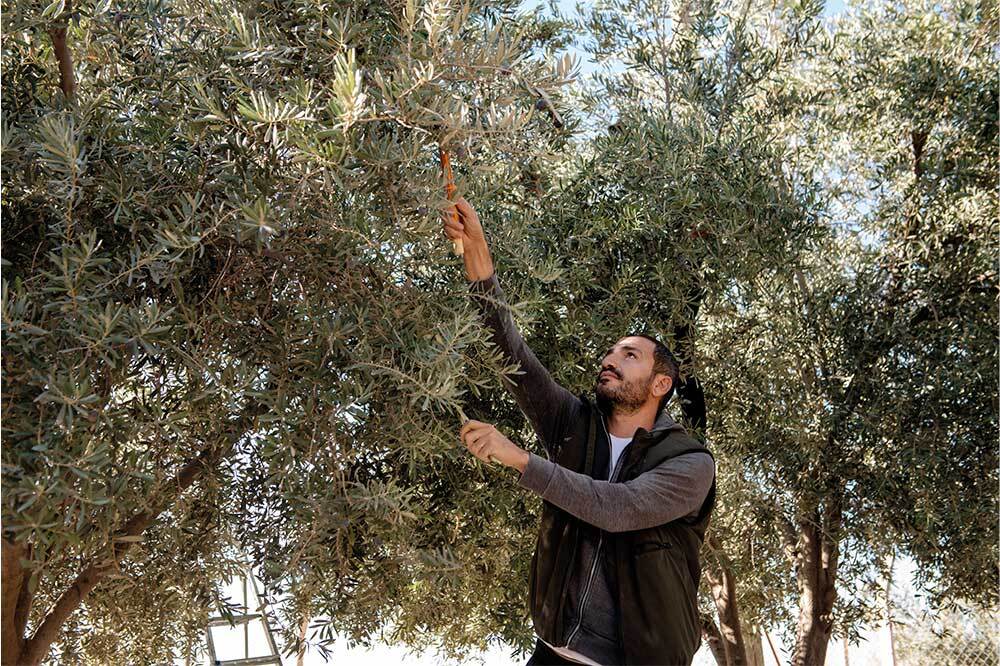 Toprağı Onarmak Mümkün