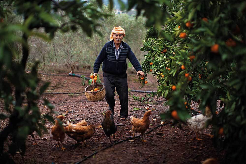 Toprak Altındaki Mühendisler