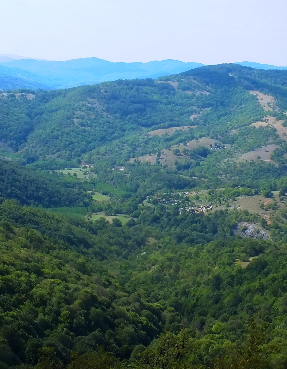 Trakya’dan Sevindirici Haber
